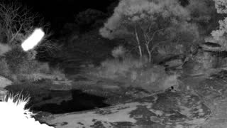 Still 3 from this detection