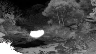 Still 1 from this detection
