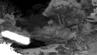 Still 1 from this detection