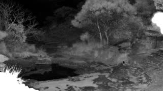 Still 1 from this detection