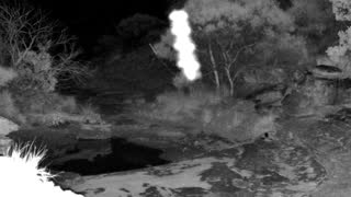 Still 1 from this detection