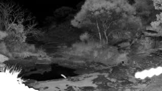Still 1 from this detection