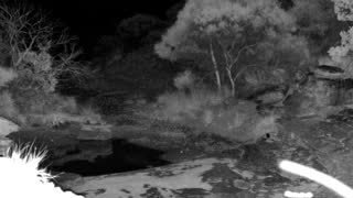 Still 2 from this detection