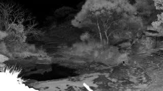 Still 2 from this detection