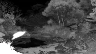 Still 3 from this detection
