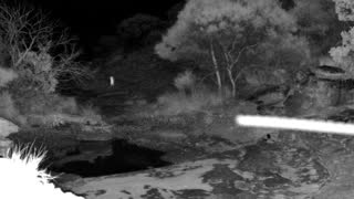 Still 3 from this detection
