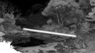 Still 1 from this detection