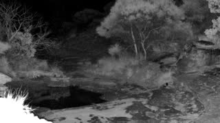 Still 2 from this detection