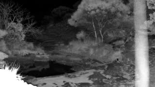 Still 1 from this detection