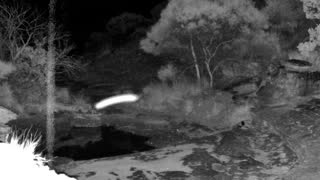 Still 1 from this detection