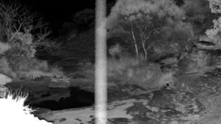 Still 1 from this detection