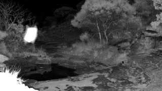 Still 1 from this detection