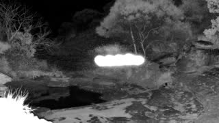 Still 1 from this detection