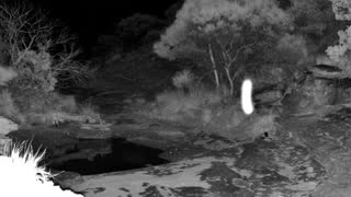 Still 1 from this detection