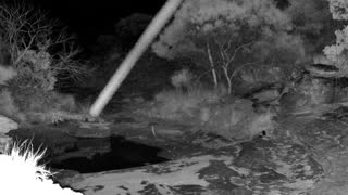 Still 1 from this detection