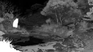 Still 1 from this detection