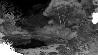 Still 1 from this detection