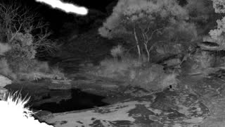 Still 1 from this detection