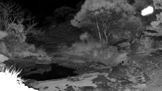 Still 1 from this detection