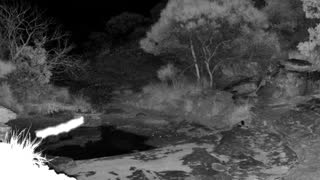 Still 2 from this detection