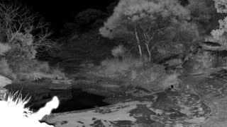 Still 1 from this detection