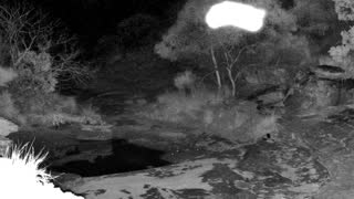 Still 2 from this detection