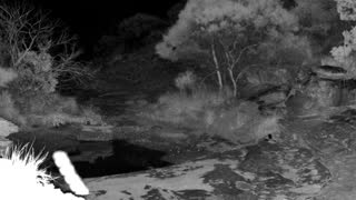 Still 1 from this detection