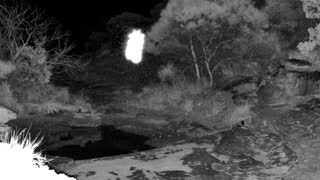 Still 2 from this detection