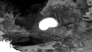 Still 1 from this detection