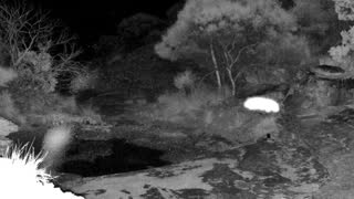 Still 1 from this detection
