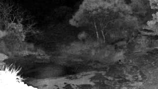 Still 2 from this detection