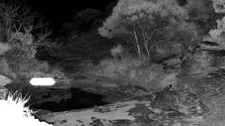 Still 1 from this detection