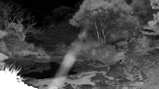 Still 2 from this detection