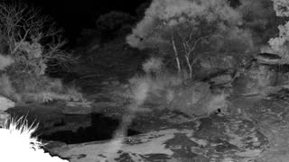 Still 3 from this detection