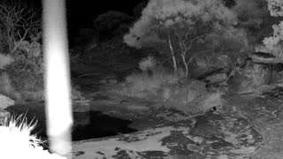 Still 2 from this detection