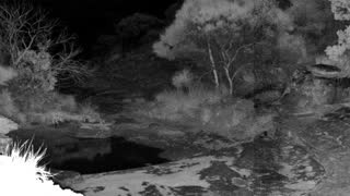 Still 3 from this detection