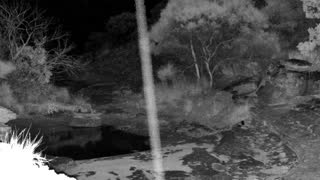 Still 3 from this detection