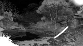 Still 3 from this detection