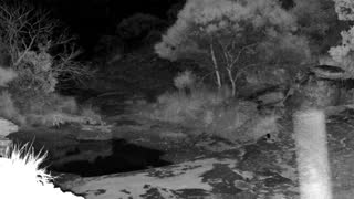 Still 2 from this detection