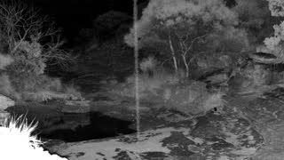 Still 1 from this detection