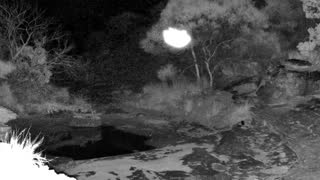 Still 2 from this detection