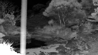 Still 1 from this detection