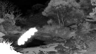 Still 1 from this detection
