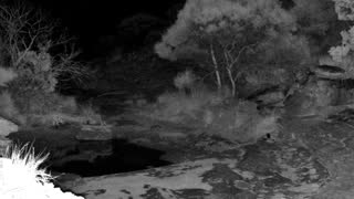 Still 3 from this detection