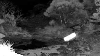Still 3 from this detection