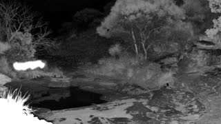 Still 1 from this detection