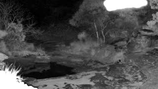 Still 2 from this detection