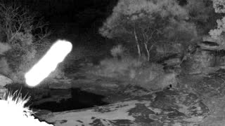 Still 3 from this detection