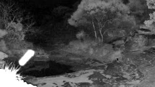 Still 2 from this detection