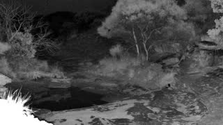 Still 2 from this detection